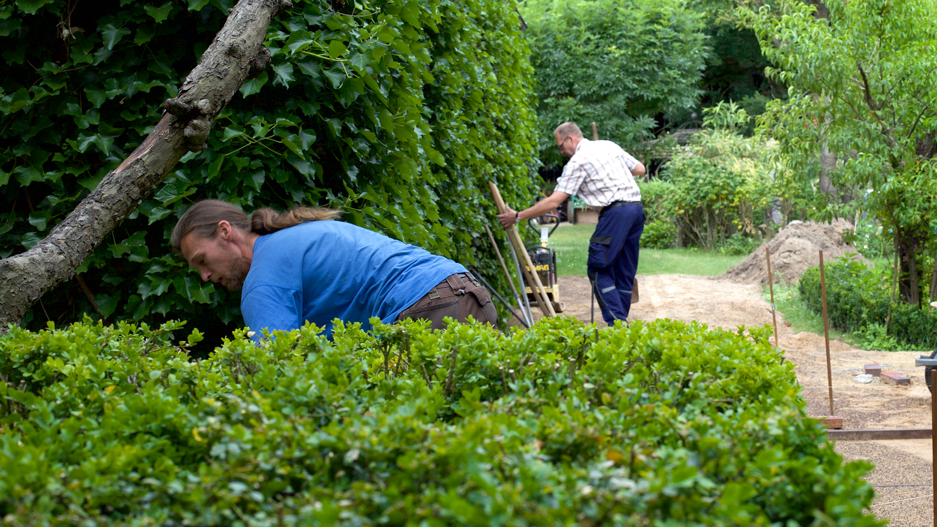 Gärtner Pflegen eine Hecke im Garten